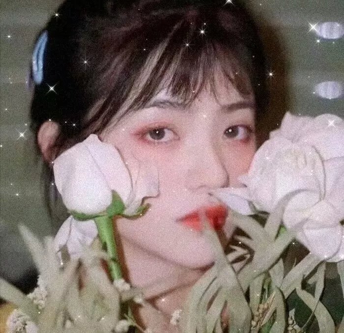 党的女儿
